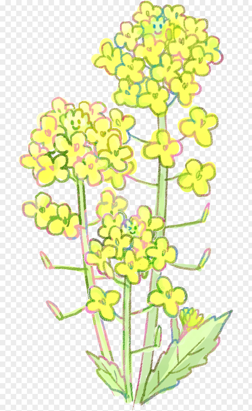 Design Floral Cut Flowers Flowering Plant Stem PNG