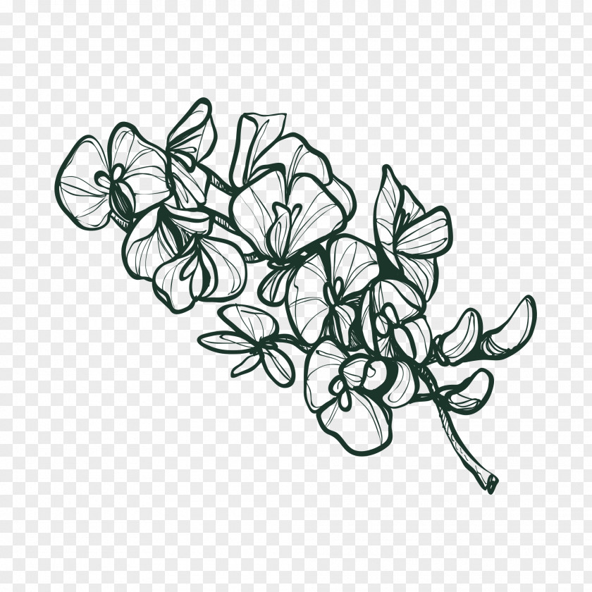 Massive Flowers Drawing Flower Image Sketch Vector Graphics PNG