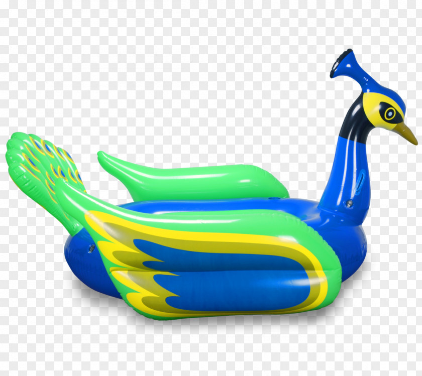Peacock Toy Amazon.com Inflatable Swim Ring Mimosa PNG
