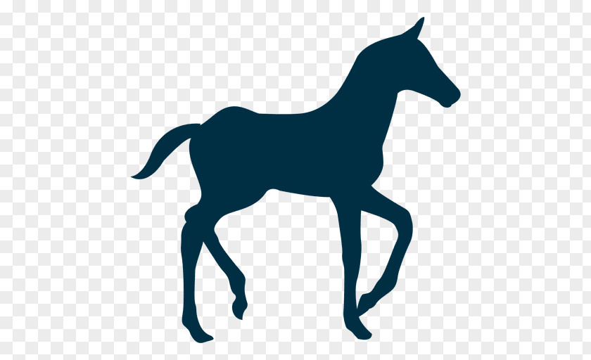 Silhouette Tennessee Walking Horse Mule Colt Clip Art PNG