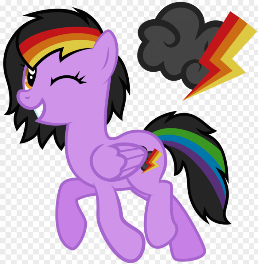 Storm Pony Rainbow Dash Derpy Hooves Horse PNG