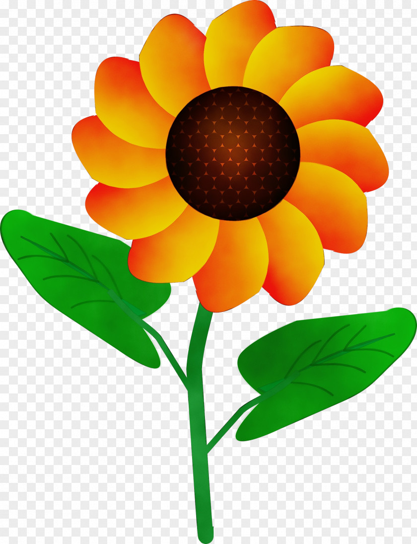 Clip Art Flower Cartoon Drawing PNG