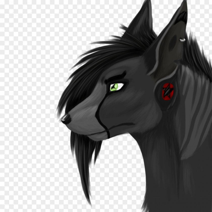 Mustang Whiskers Cat Pony Demon PNG