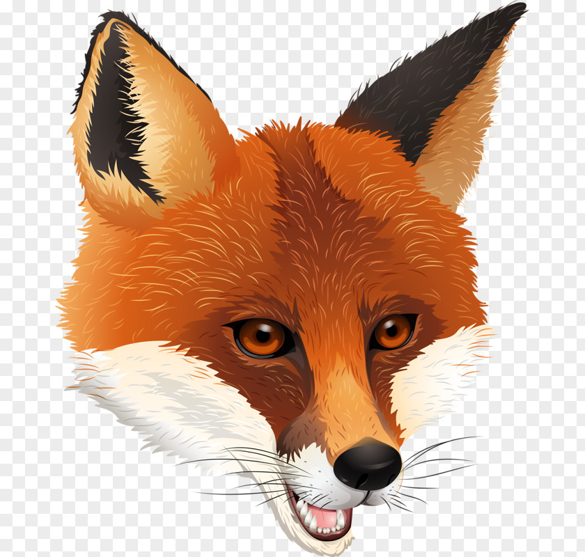 Sly Fox Royalty-free Clip Art PNG