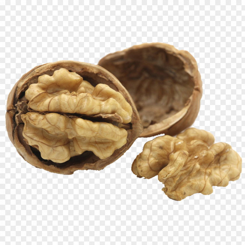 Walnut Ice Cream Food Nutrition Nucule PNG