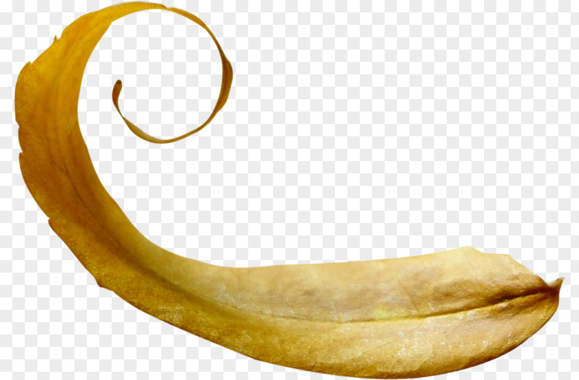 Banana PNG