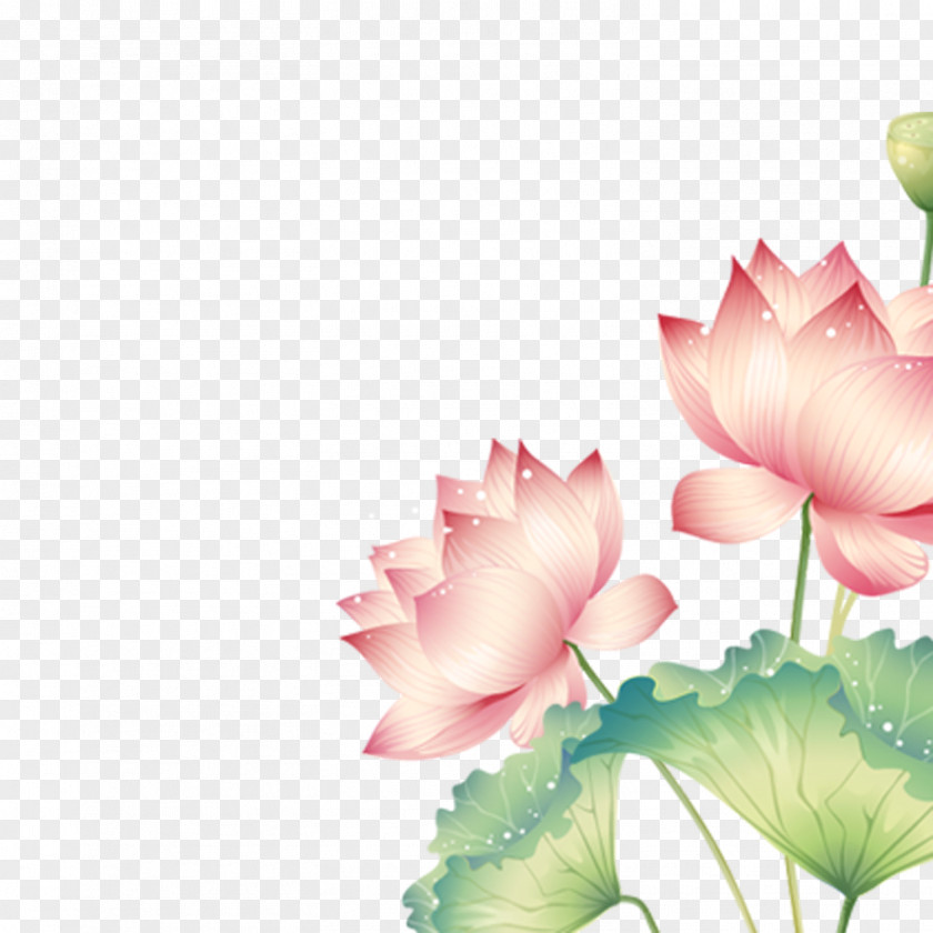 Cartoon Lotus China Disease Rheumatoid Arthritis Therapy PNG