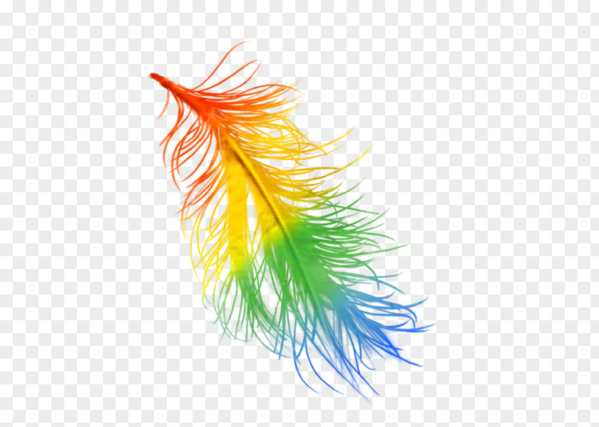 Feather Rainbow Color Data Compression PNG