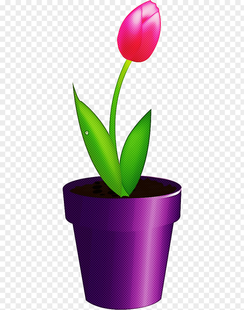 Flower Floral Vase PNG