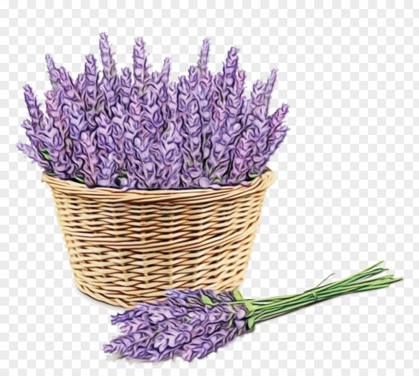 French Lavender Purple PNG