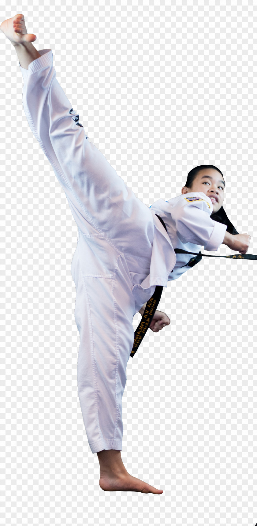 Martial Arts Korea Tae Kwon Do (Martial Taekwondo Dobok Karate PNG