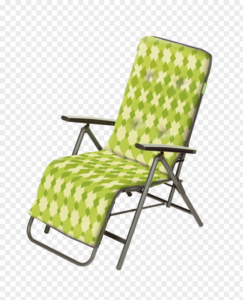 Barbecue Deckchair Wing Chair Woven Fabric PNG