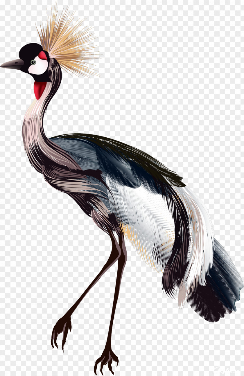 Birds Crane Bird Drawing Watercolor Painting PNG