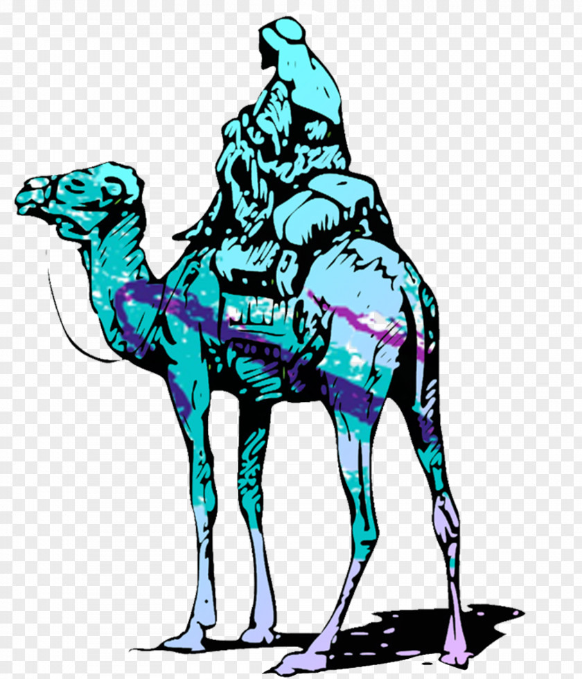 Bitcoin Silk Road Dromedary Bactrian Camel PNG