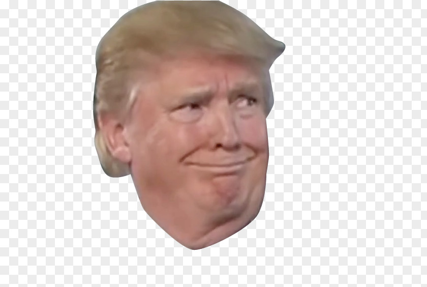 Donald Trump United States Smirk US Presidential Election 2016 PNG