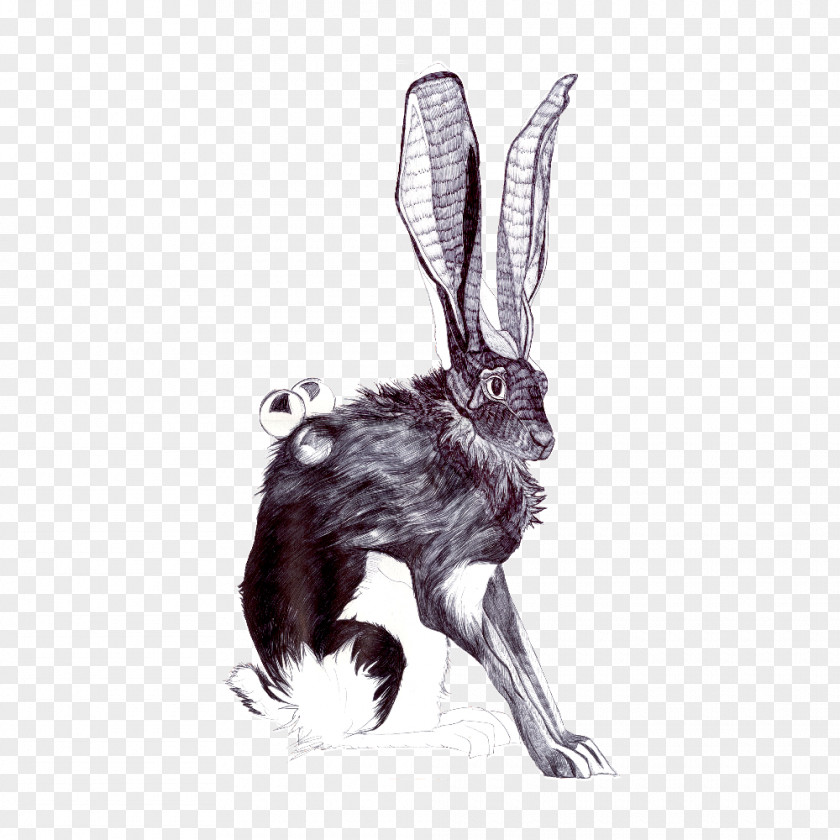 Harmful Chemicals Tattoos Domestic Rabbit Hare Decal Abziehtattoo PNG