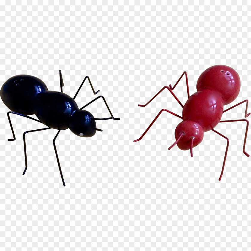 Membranewinged Insect Ant Cartoon PNG