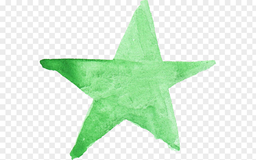 Watercolor Star Painting Green Leaf PNG