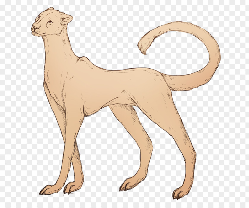 Dog Breed Cat Line Art Tail PNG