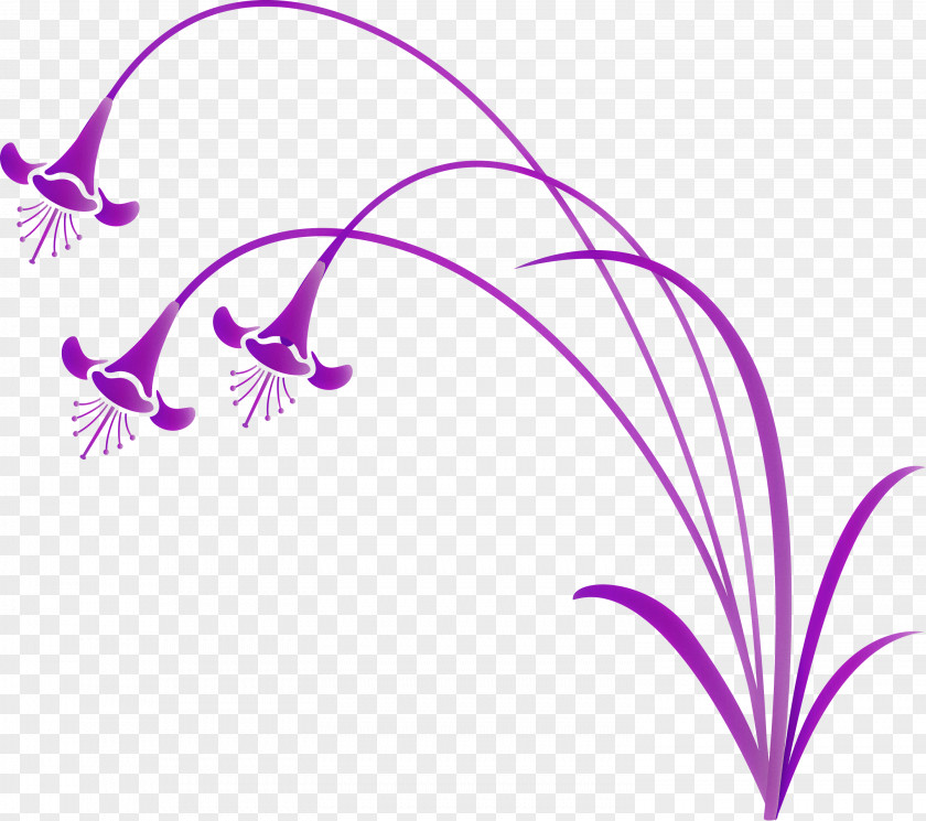 Flower Frame Decoration PNG