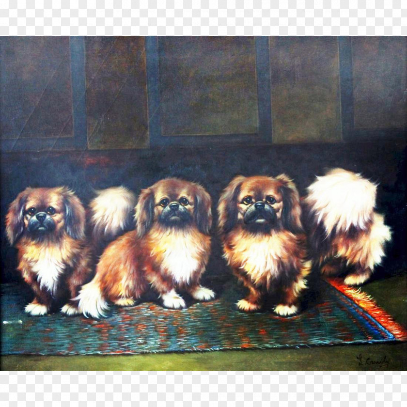Painting Pekingese Shih Tzu Chinese Imperial Dog Tibetan Spaniel Oil PNG