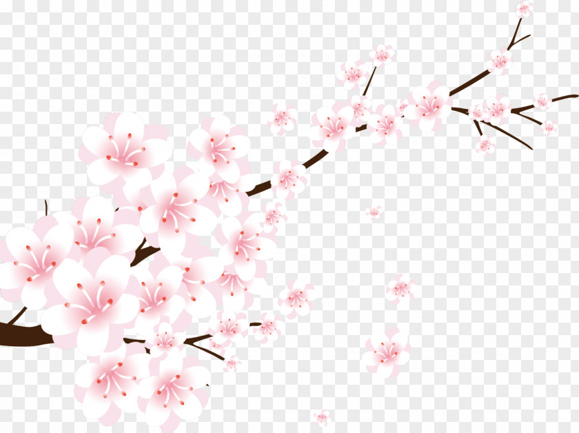 Petal Twig Flower Line Art PNG