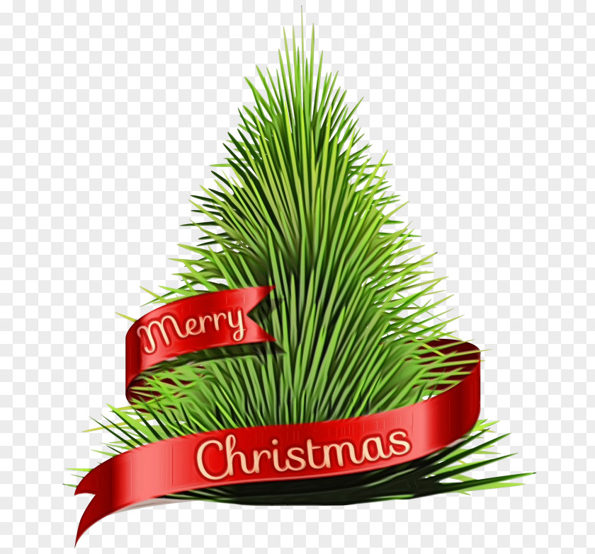Red Pine Evergreen Christmas And New Year Background PNG