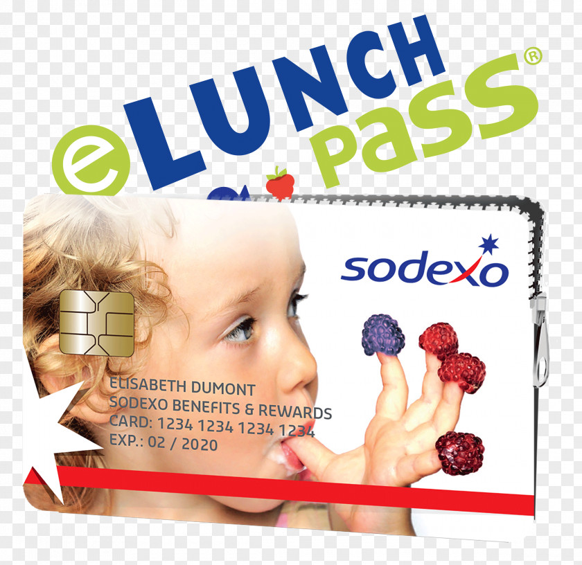 Skin Card Sodexo Meal Voucher Ecocheque Payment Edenred PNG
