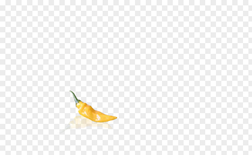 Small Pepper Petal Capsicum PNG