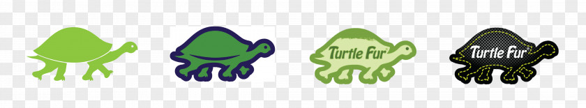 Warmth Turtle Fur Logo Brand Green Mountains PNG