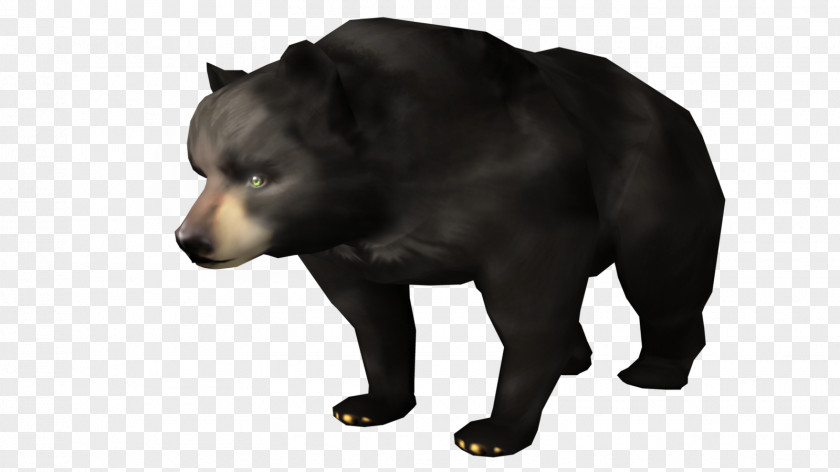 Bear Grizzly American Black Brown Fur PNG