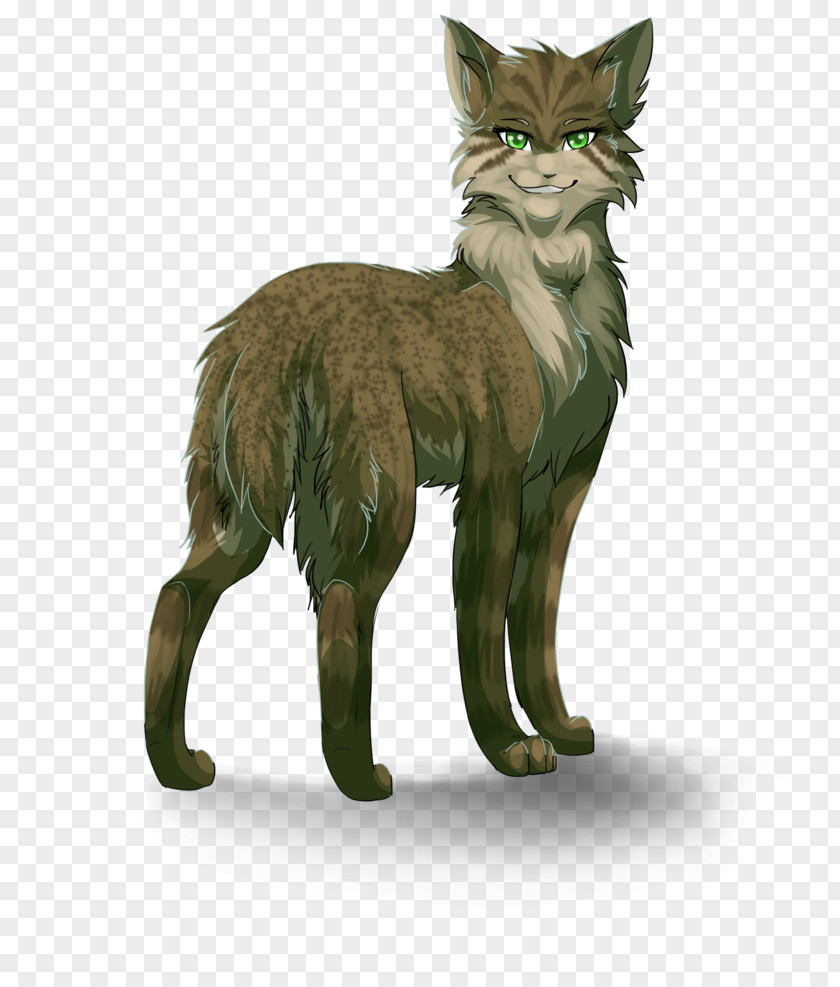 Cat Whiskers Domestic Short-haired Wildcat Warriors PNG