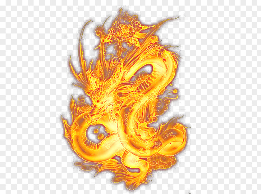 Fiery Dragon Light Chinese King PNG