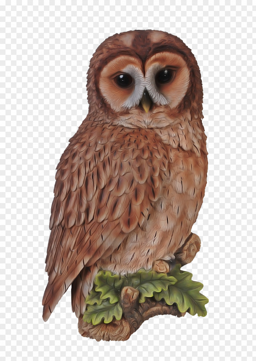 Figurine Wildlife Owl Bird Of Prey Great Grey Barn PNG