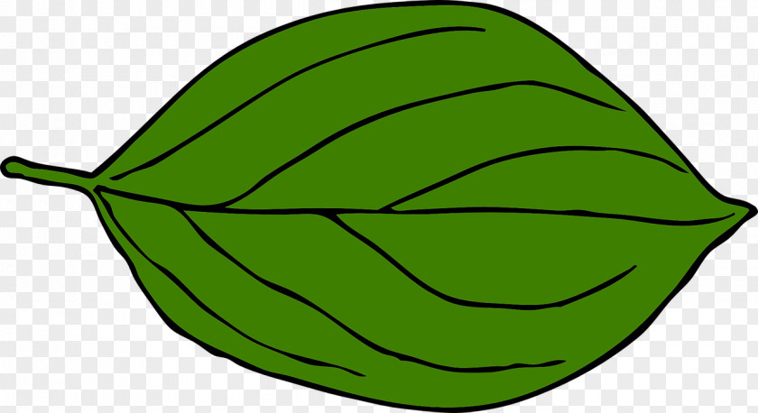 Leaf Green Trees And Leaves Clip Art PNG