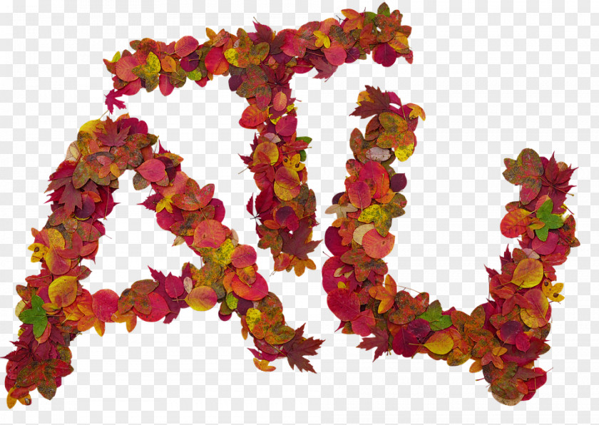 Leaf Letter Photography Autumn Image PNG