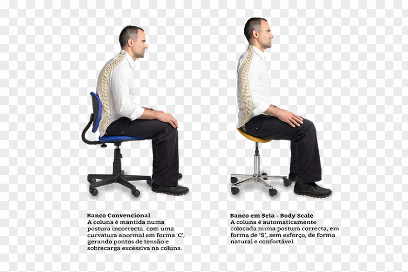 Bank Office & Desk Chairs Sitting Human Factors And Ergonomics PNG