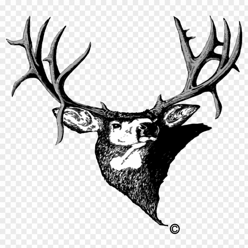 Elk Silhouette Antler Deer Muley Fanatic Foundation Colorado Organization White-tailed PNG