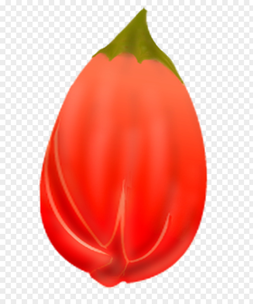 Pomegranate Shab-e Yalda PNG