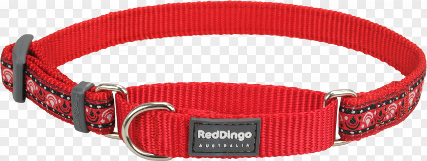 Red Collar Dog Dingo German Shepherd Martingale PNG