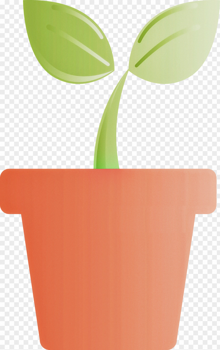 Sprout Bud Seed PNG