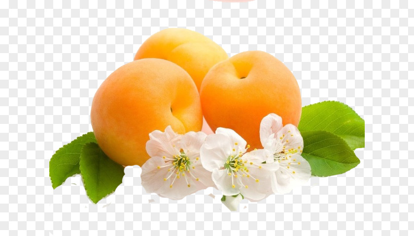 Apricot Desktop Wallpaper Fruit PNG