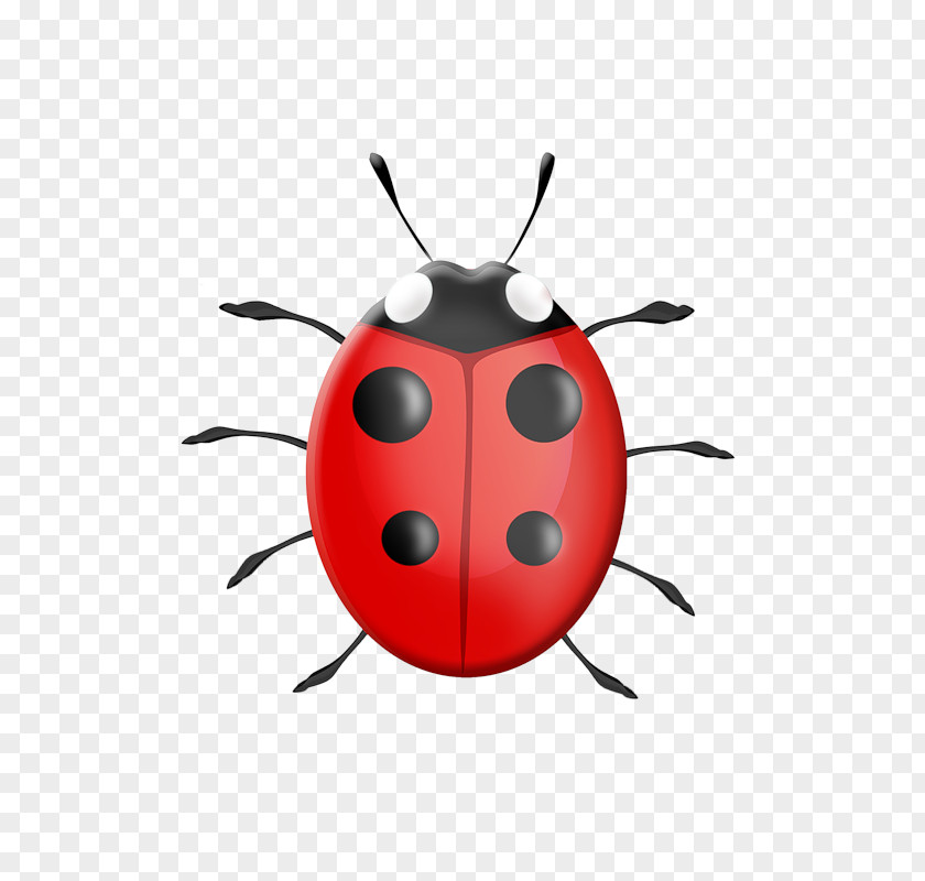 Child Ladybird Drawing Clip Art PNG