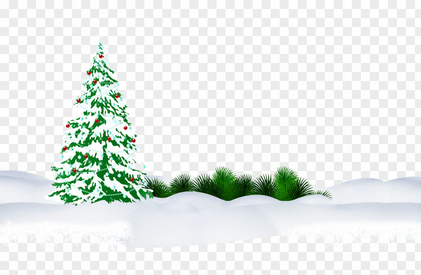 Christmas Tree Snow Clip Art PNG