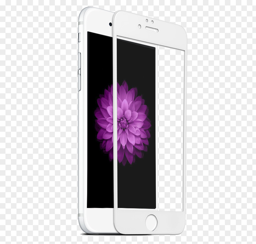 Glass Apple IPhone 7 Plus 8 5 6 Screen Protectors PNG