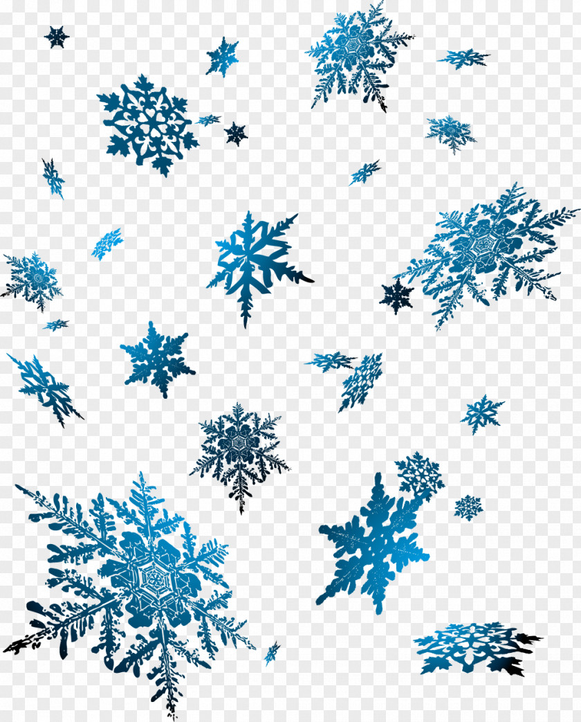 Vector Snowflakes Snowflake PNG