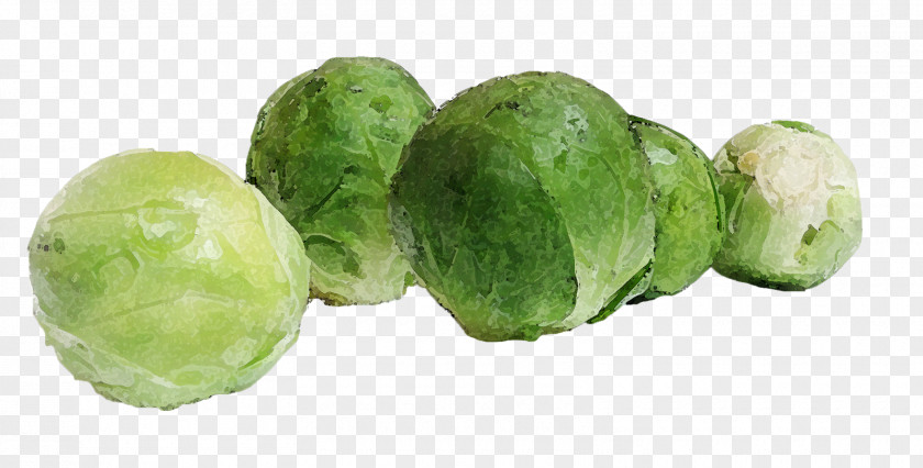 Vegetable Brussels Sprout Capitata Group Collard Greens Food PNG