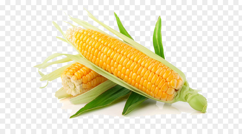 Corn On The Cob Candy Waxy Vegetable Sweet PNG