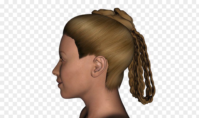 Hair Long Coloring Brown Chin PNG