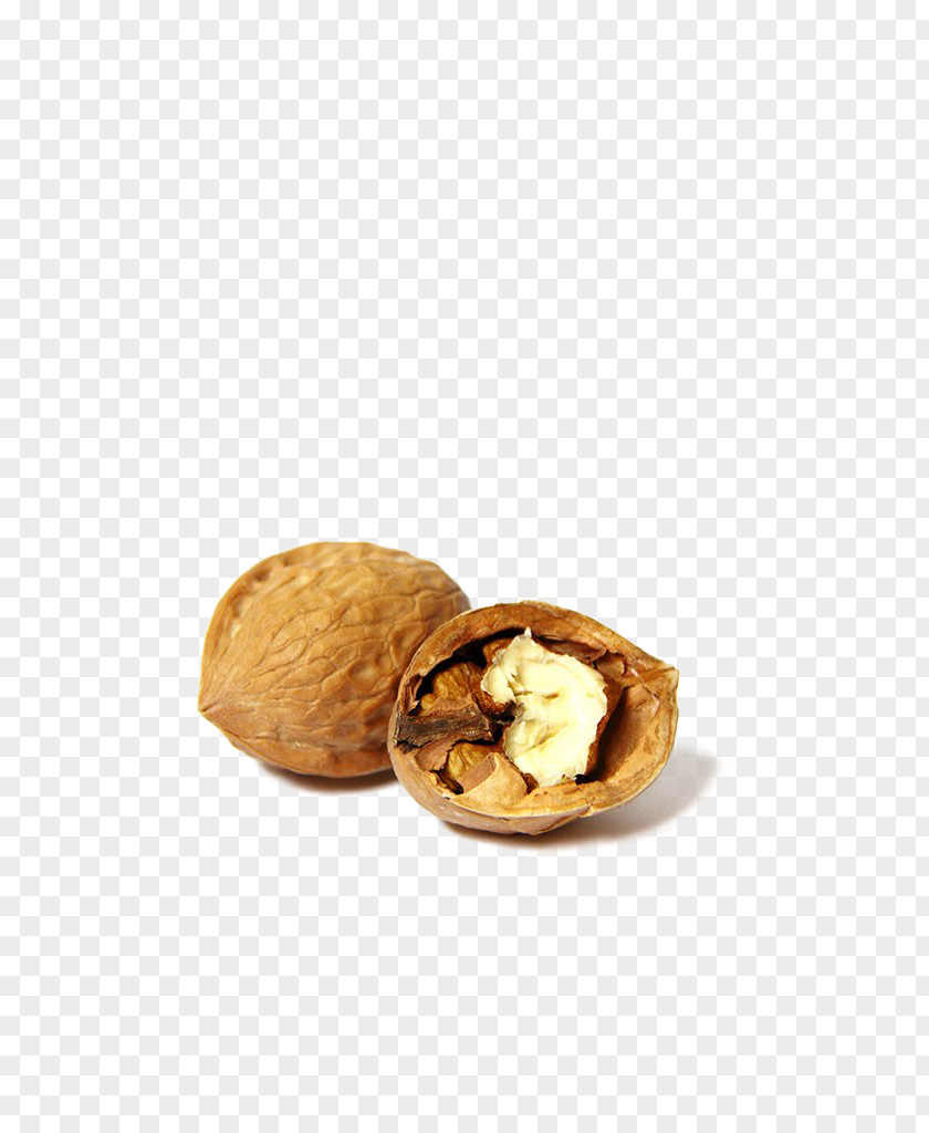 Walnut Food Flavor PNG